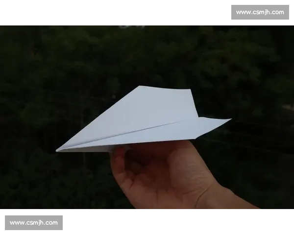 纸飞机:重拾童年的纯粹快乐 纸飞机:重拾童年的纯粹快乐